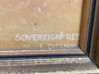 Sovereign Red L Dittman print by B Malt - 3