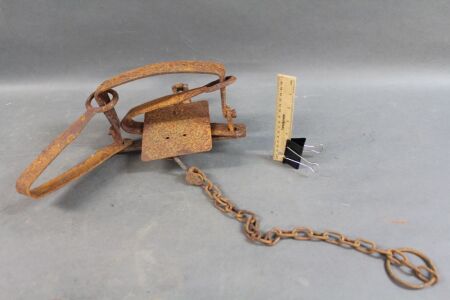 Vintage Dog Trap