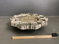 Decorative Concrete Birdbath - no stand