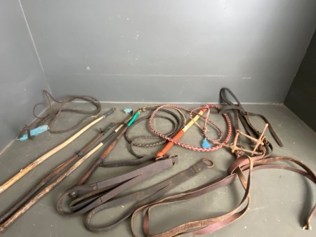 3 x Stock Whips, 2 x Crops, 2 x Croppers and on Bridle