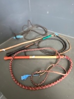 3 x Stock Whips, 2 x Crops, 2 x Croppers and on Bridle - 2