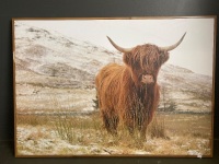 Large photo of a highland cow - 2