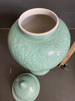 Extra large Celadon ginger jar - 3