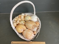 Basket of shells - 2