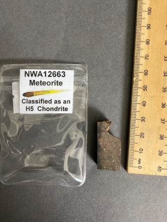 NWA12663 H5 Chondrite Meteorite