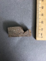 NWA12663 H5 Chondrite Meteorite - 2