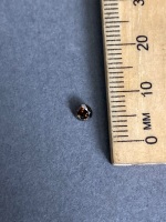 0.22 carat Cognac DIAMOND Gemstone - 2