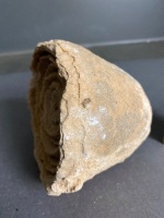 Million to 3Billion year old STROMATOLITE Fossil from Morocco - the world's oldest fossil - 3