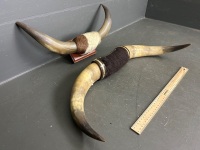 2 Sets of Bull Horns - 1 Timber Mounted - 2