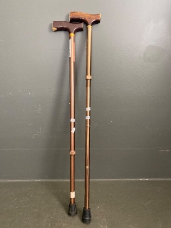 2 Walking Sticks