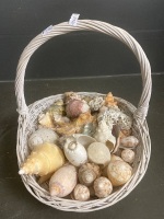 White Basket of Sea Shells - 2