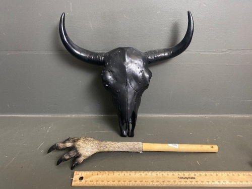 Kangaroo Paw Back Scratcher and Resin Cow Skull