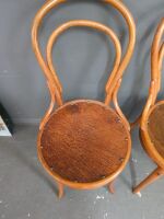 2 Antique Bentwood Chairs - 2