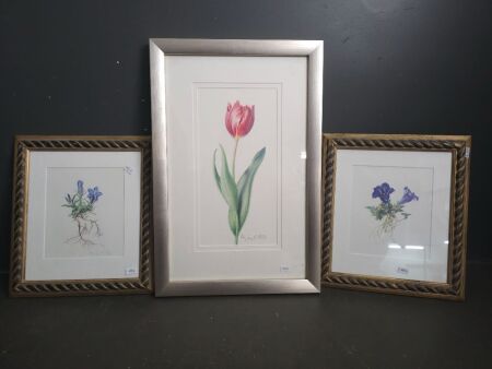 Three Signed Art Works By Jenny K Phillips