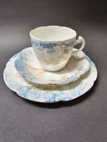 Shelley Bone China England Trio