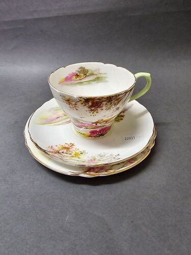 Shelley Bone China England Trio 'Old Ireland'