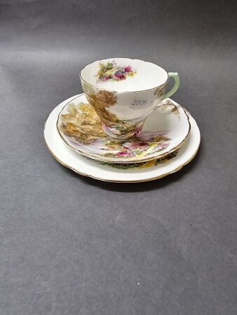 Shelley Bone China England Trio