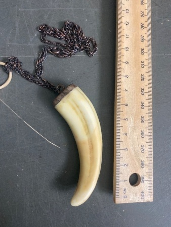 Vintage Boars Tusk Pendant