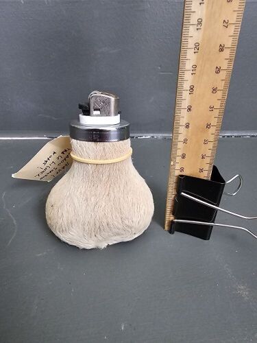 Must Have Kangaroo Scrotum Table Lighter