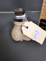 Must Have Kangaroo Scrotum Table Lighter - 2