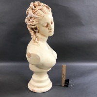 Heavy Plaster Bust of Minerva, Goddess of Wisdom - As Is - 4