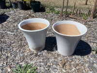 2 White Planter Pots