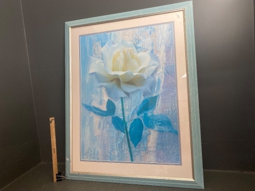 Large Framed White Rose Print