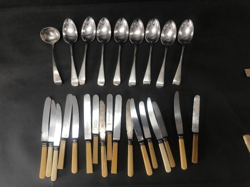 Selection of 17 Asstd Bone Handled Knives & 8 Silver Plated Table Spoons & Ladle