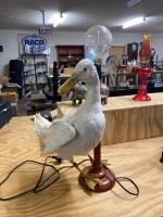 Taxidermy Life Size Goose with Light - 2