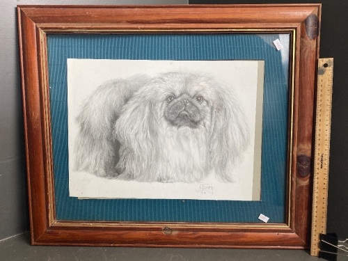 Pekinese Fine Art Print by M J Sibley