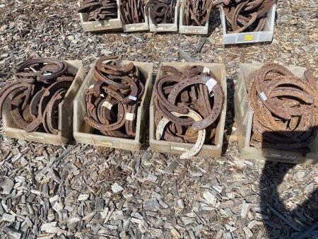 Large Mixed Lot of Horse Shoes