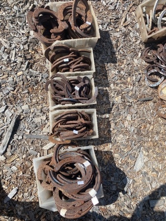 Large Mixed Lot of Horse Shoes