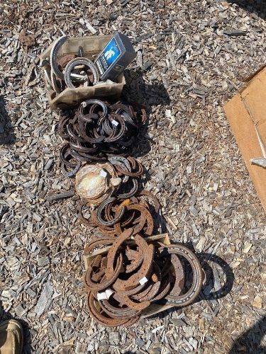 Large Mixed Lot of Horse Shoes