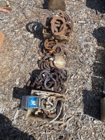 Large Mixed Lot of Horse Shoes - 2