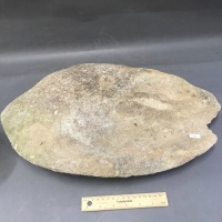 Large Ancient Aboriginal Grinding Board & Muller Stone from Cooper Creek Area - - 2