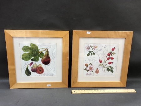 2 Framed Flora Prints