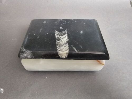 JEWELLERY BOX made from Selenite and 400 million year old fossil filled marble from Morocco