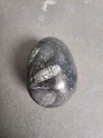 Three Eggs carved from 400 million year old fossil filled marble from Morocco - 2