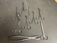 Stainless Steel Selection of Veterinary Equine Scissors / Clamps etc