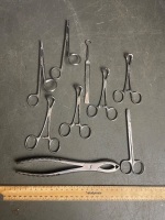 Stainless Steel Selection of Veterinary Equine Scissors / Clamps etc - 2