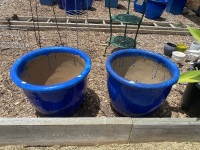 Two Blue Glazed Terracotta Pots