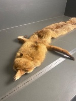 Tanned Fox Pelt (lined) - 2