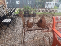 Rustic Ornamental Bird Cage with Two Rusty Chooks