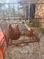 Rustic Ornamental Bird Cage with Two Rusty Chooks - 3