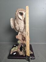 Large Owl Statue - 3