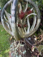 Large original Steve Weis garden sculpture - 2