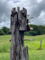 Steel and wood garden art sculpture 2.7m tall - 5