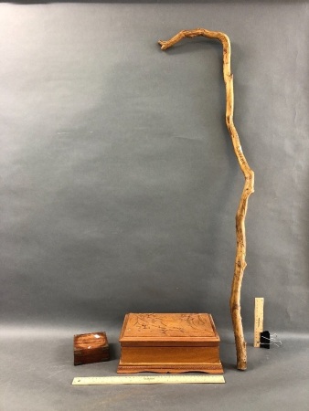 Vintage Trinket Box Carved with Kookaburra, Small Trinket Box + Natural Walking Stick