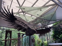 Majestic Eagle sculpture 1.75m wide - 3