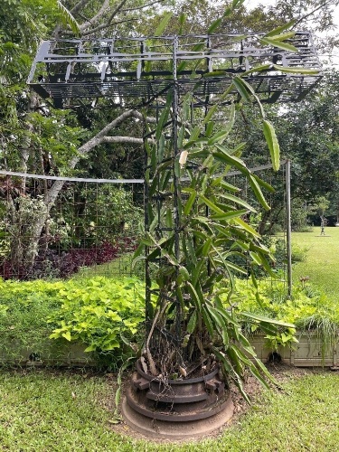 "T" metal garden sculpture by Steve Weis 3.4m tall